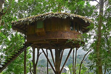 Treehouse Tour