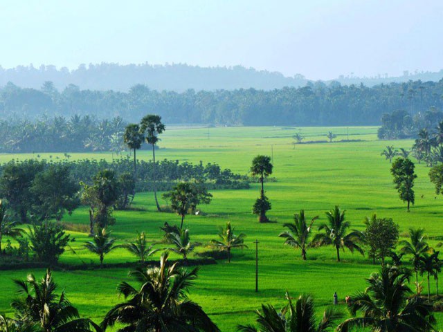 Palakkad Kerala