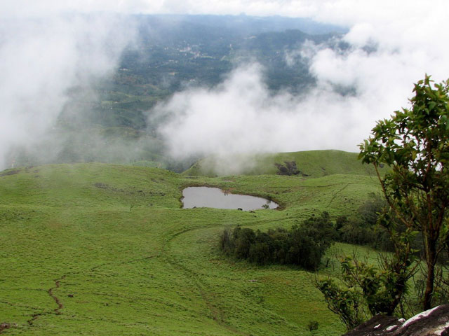 Wayanad Kerala: places to visit in kerala