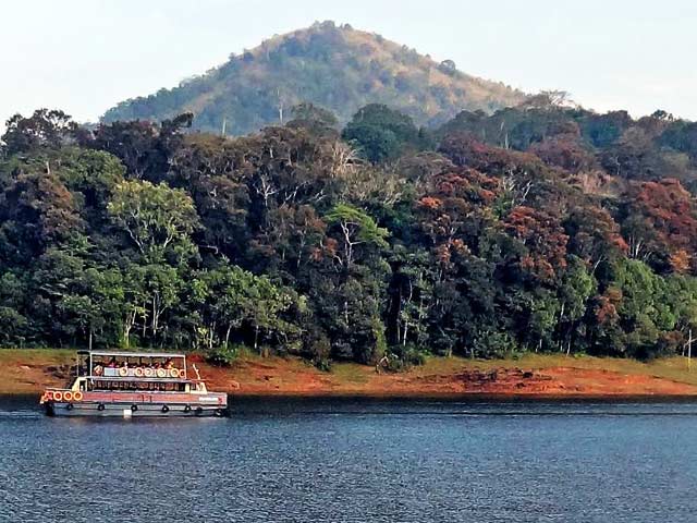 Top 15 Things to do in Thekkady