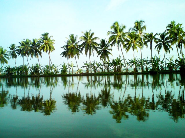 Alleppey Backwaters: backwaters destinations in kerala