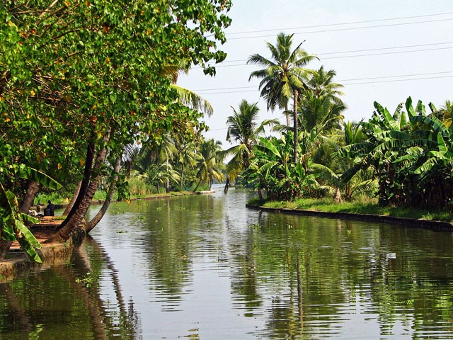 Kozhikode Backwaters
