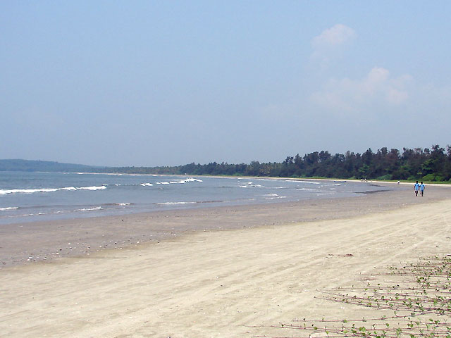 Muzhappilangad beach