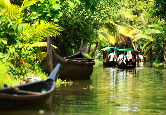 cherai-backwater
