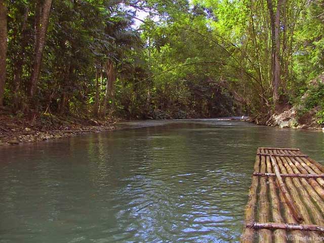 Peppara-Dam-&-Wildlife-Sanctuary