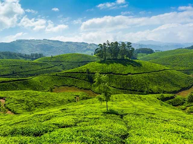 ponmudi