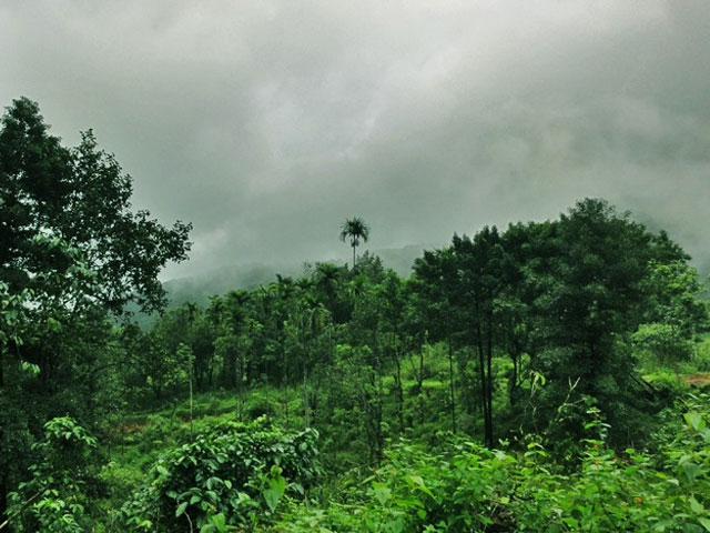 Kottancheri-Hills