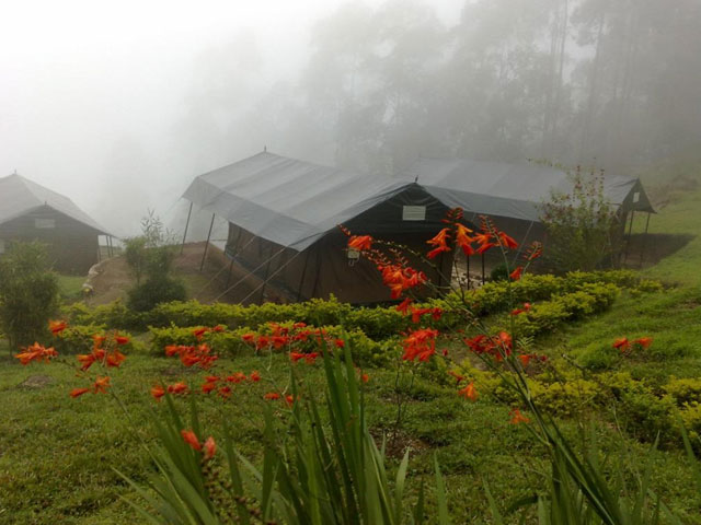Nature-Zone-Resort: best camping places in kerala