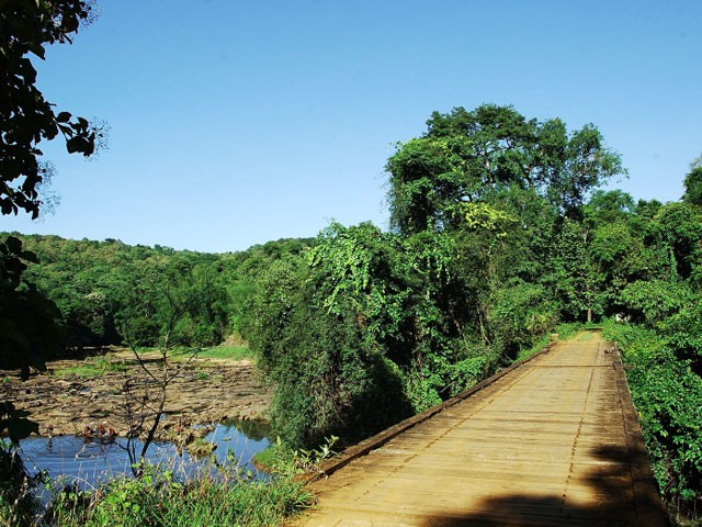 Parambikulam-Island-Camping
