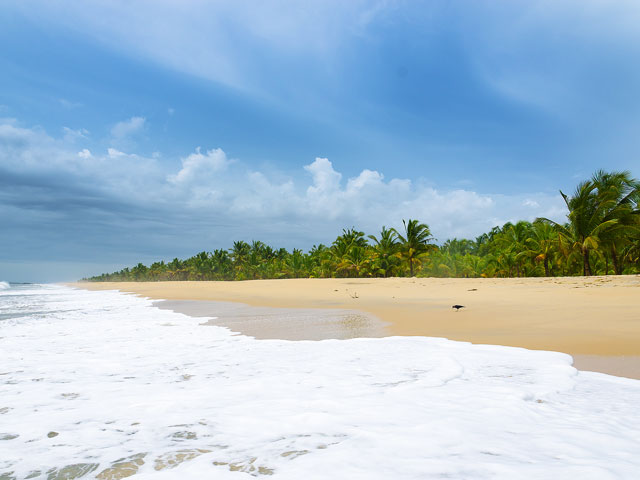 Mararikulam