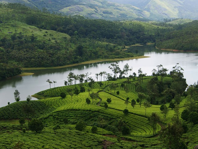 Best Forest Tourist Places In Kerala