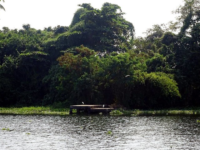 12 Must Visit Places in Kottayam for a Memorable Holiday