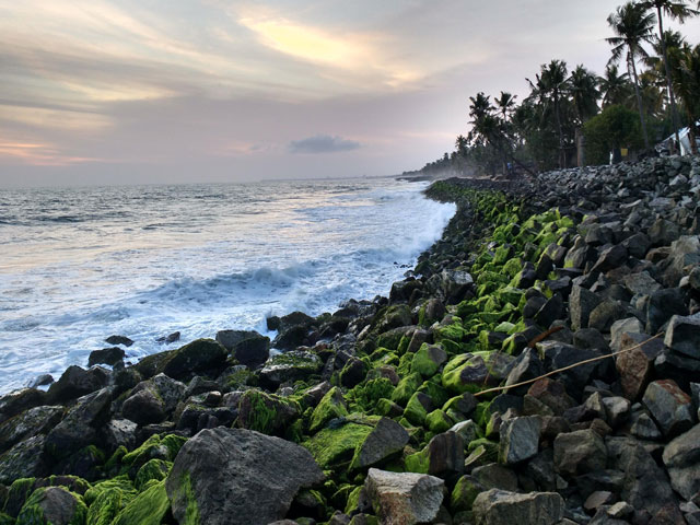 Interesting Places to Visit in Kollam that offer something unique