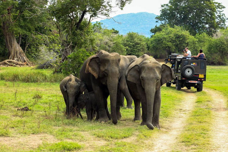 Periyar National Park