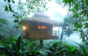Periyar Tour with Treehouse