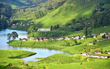 Best of Kerala