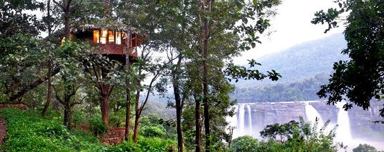 Best of Kerala with Treehouse Stay