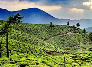 Wayanad
