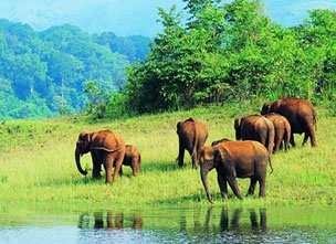 Thekkady