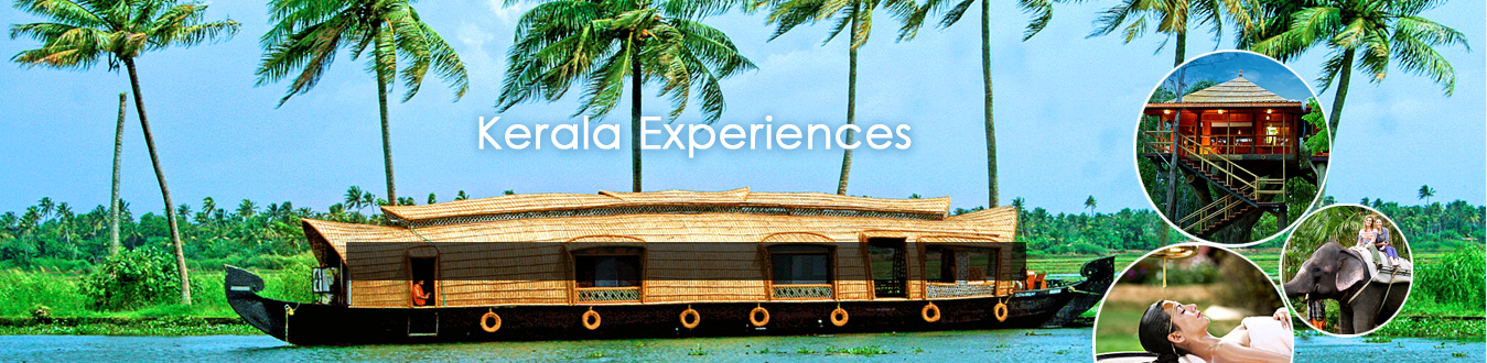 Kerala Backwater