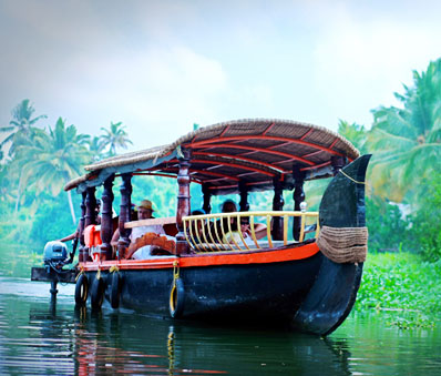 Bird watching at Kumarakom