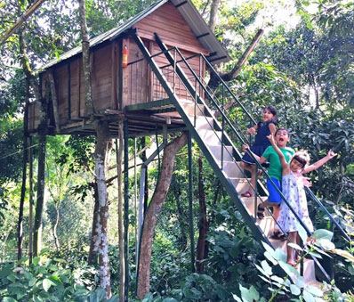 Bird watching at Kumarakom
