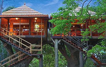 Kerala Tree Houses