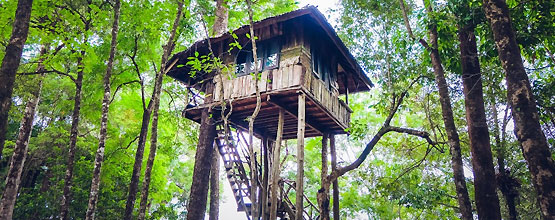 Best of Kerala with Treehouse Stay