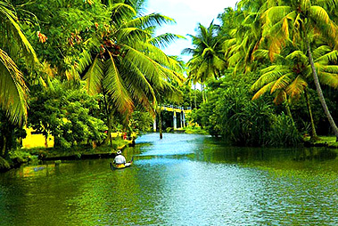 Serene Backwaters of Kerala