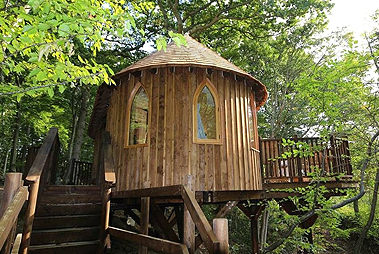 Best of Kerala with Treehouse Stay