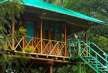 3 Days Wayanad Tour with Vythiri Treehouse
