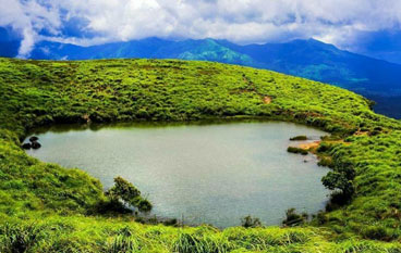 Wayanad Tour with Vythiri Treehouse
