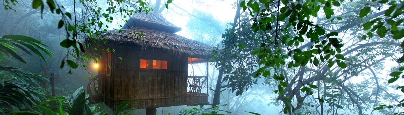 Vanya Tree House Munnar, Photos, Map, Address, Online Booking