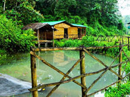 Jungle Retreat Wayanad