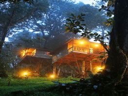 Nature Zone Jungle Park Resort, Munnar