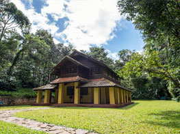 Tree Houses at Pepper Trail