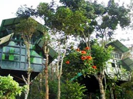 Tree Houses in Wayanad