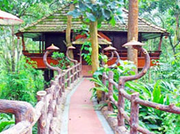 Heritage Treehouse in Kumily