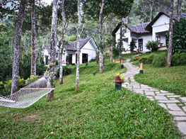 Niraamaya Retreats Cardamom Club