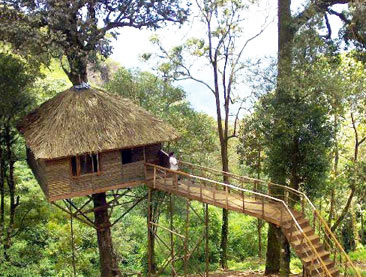 Best of Kerala with Treehouse Stay