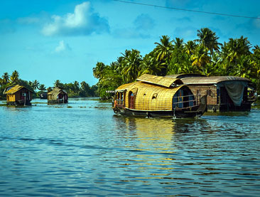 Kerala Backwaters and Jungles