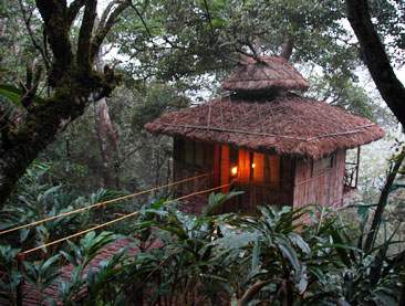 3 Days Periyar Tour with Treehouse