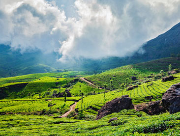 Scenic Kerala