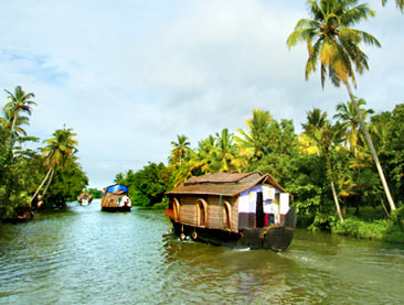 Serene Backwaters of Kerala