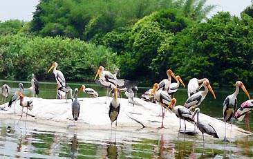 Kumarakom