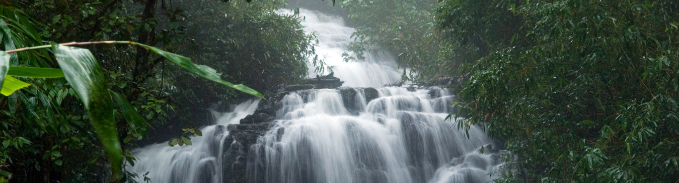 Aruvikkuzhi Waterfalls