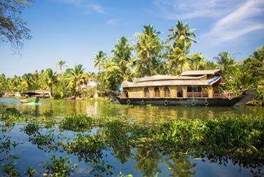 Cochin Backwater Tours