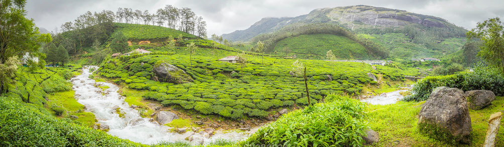 Hill Station