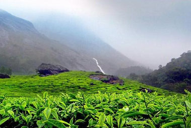 Hill Station Munnar