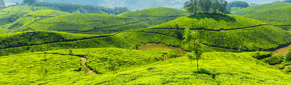 Hill Station